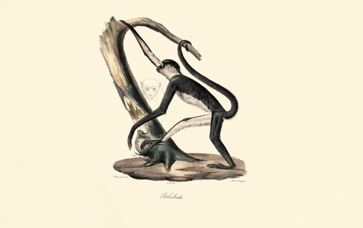  da Jacques Christophe Werner