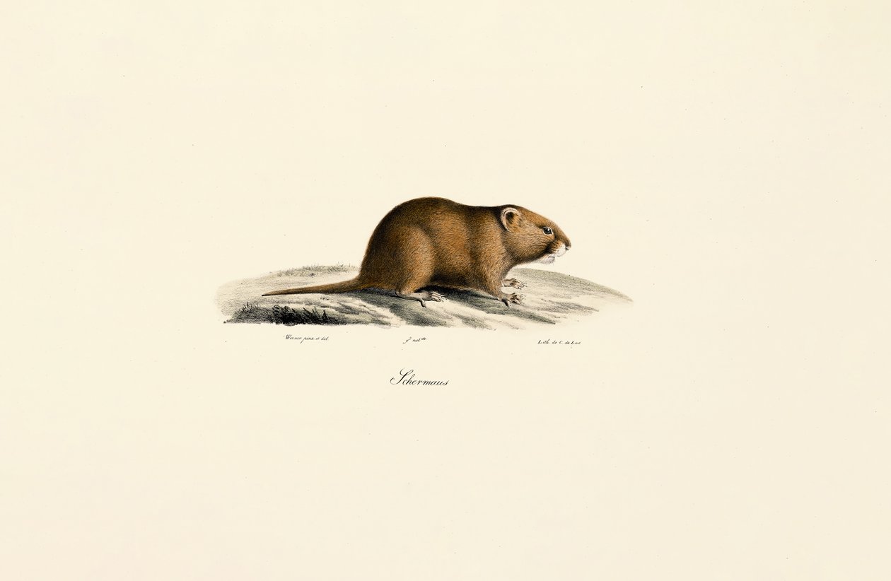  da Jacques Christophe Werner