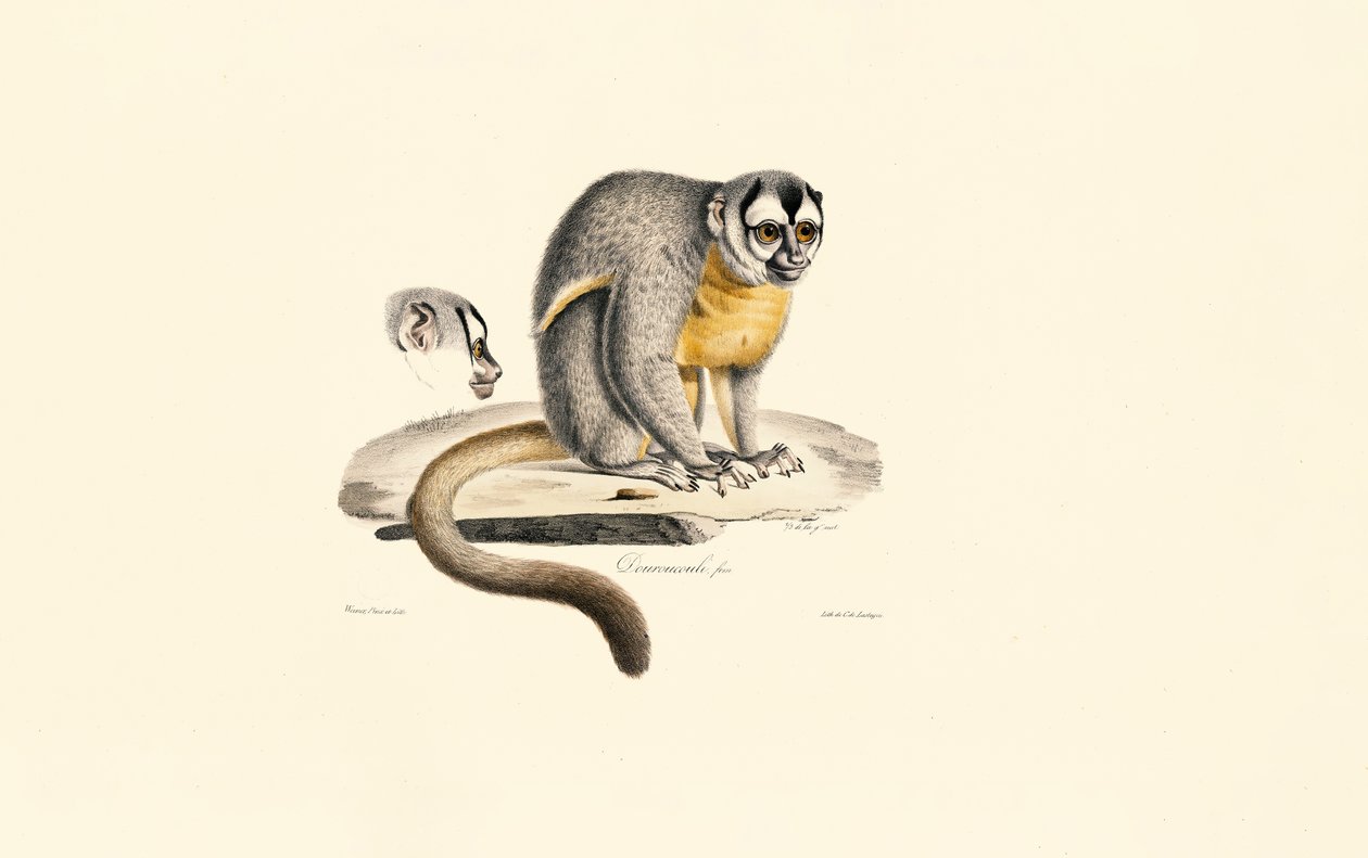  da Jacques Christophe Werner