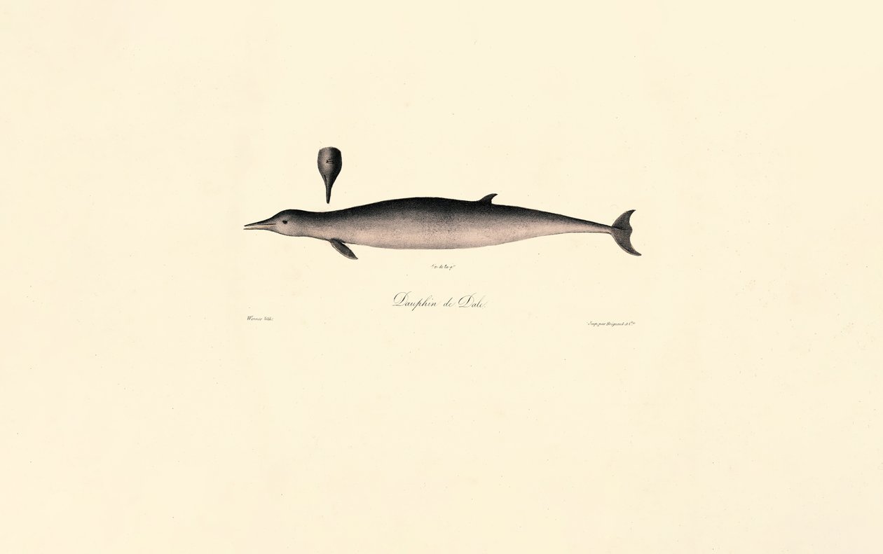  da Jacques Christophe Werner