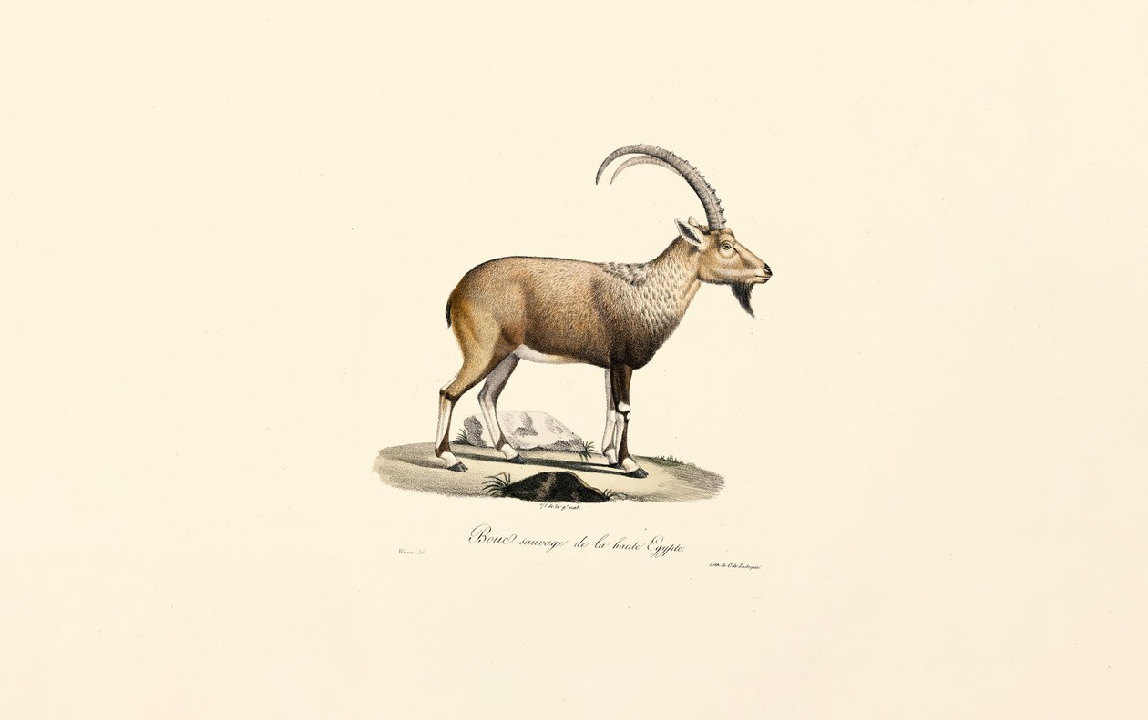  da Jacques Christophe Werner