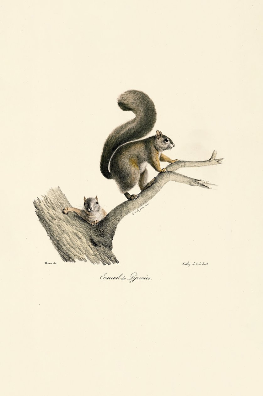  da Jacques Christophe Werner