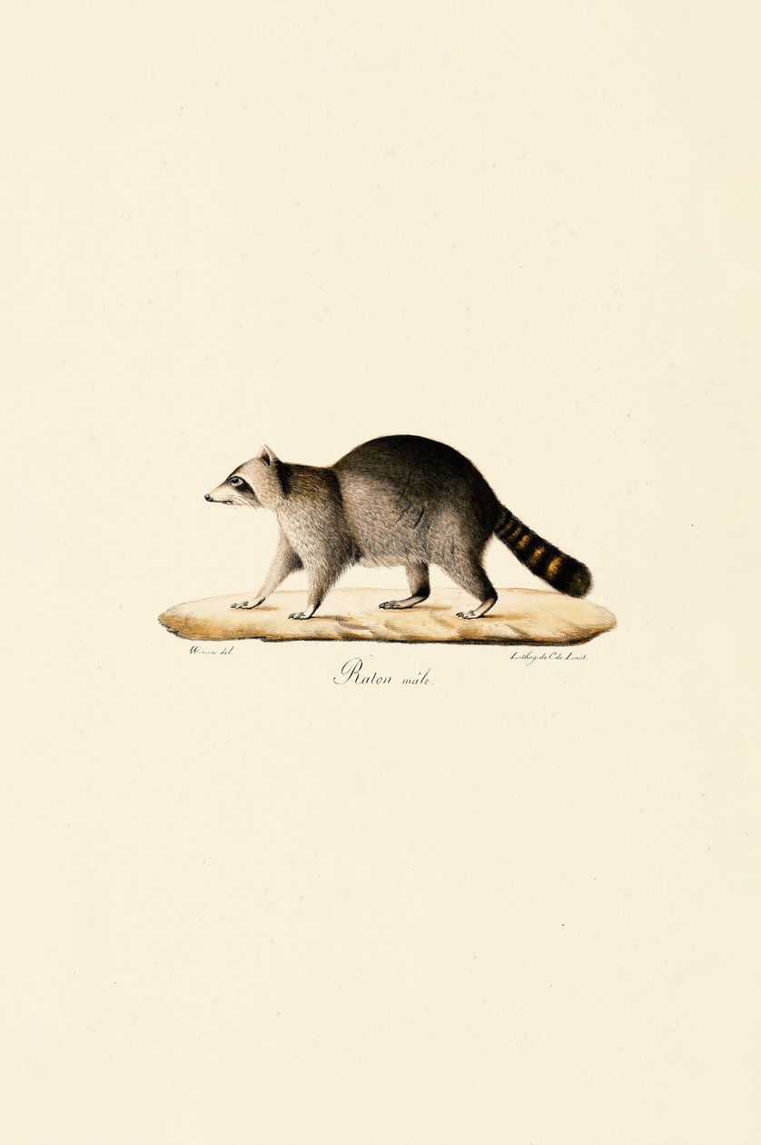  da Jacques Christophe Werner
