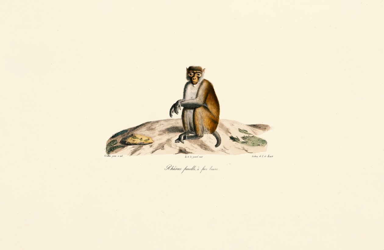  da Jacques Christophe Werner