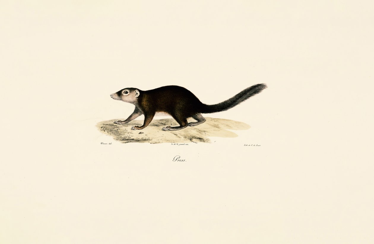  da Jacques Christophe Werner