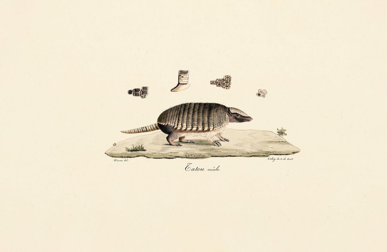  da Jacques Christophe Werner