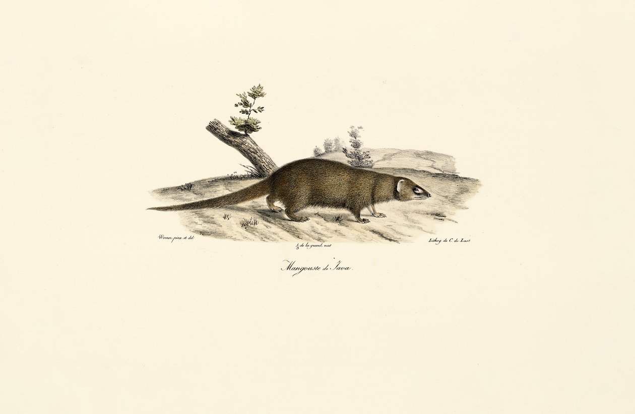  da Jacques Christophe Werner
