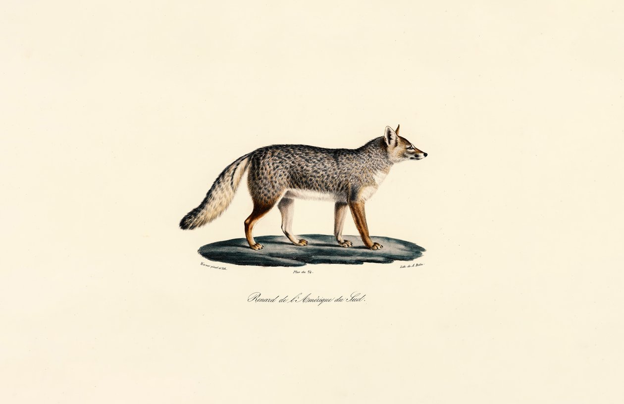  da Jacques Christophe Werner