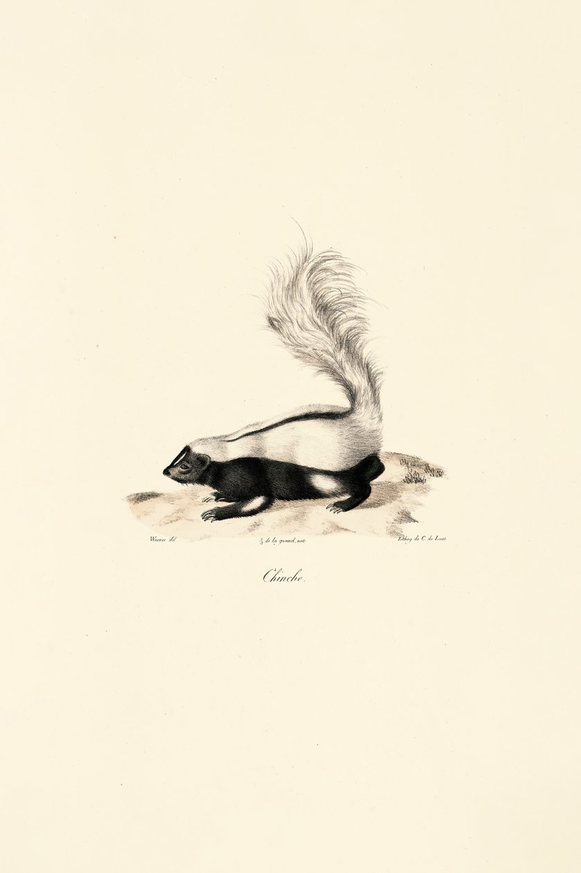  da Jacques Christophe Werner