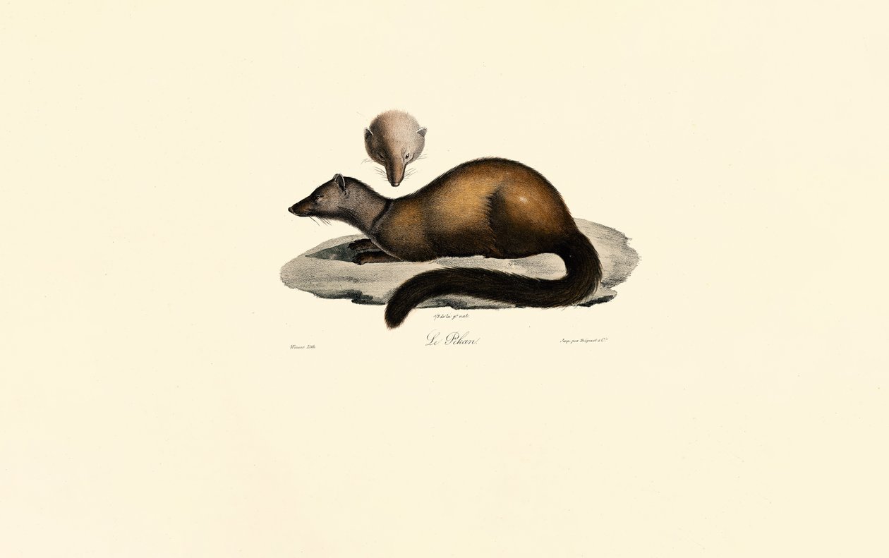  da Jacques Christophe Werner