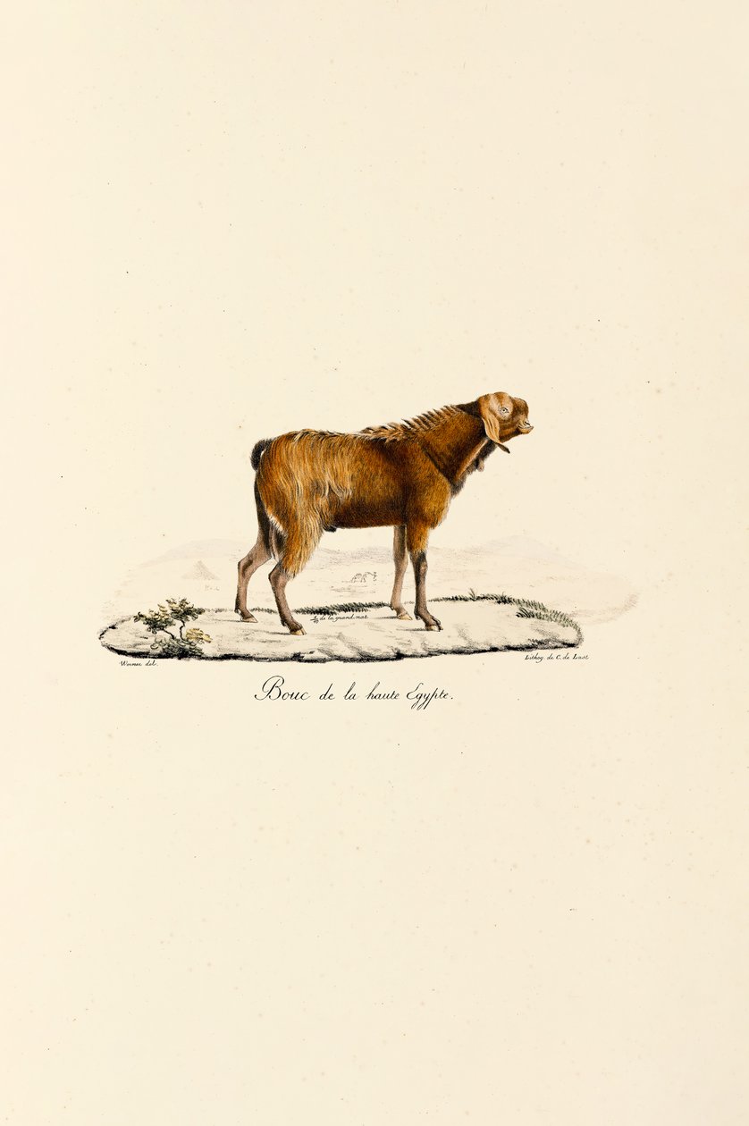  da Jacques Christophe Werner