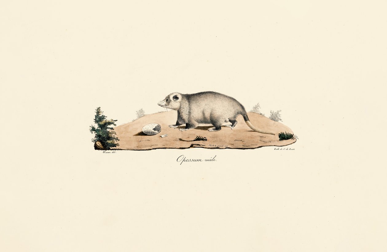  da Jacques Christophe Werner