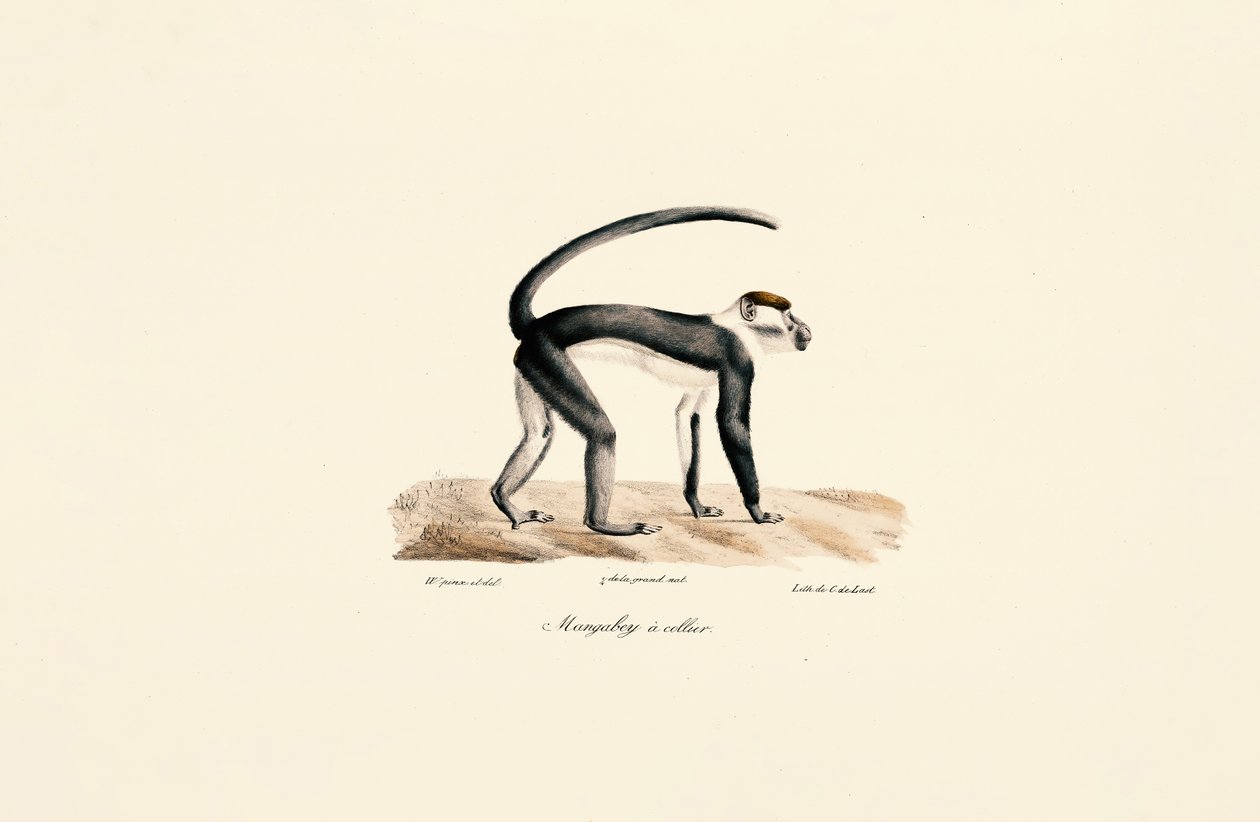  da Jacques Christophe Werner