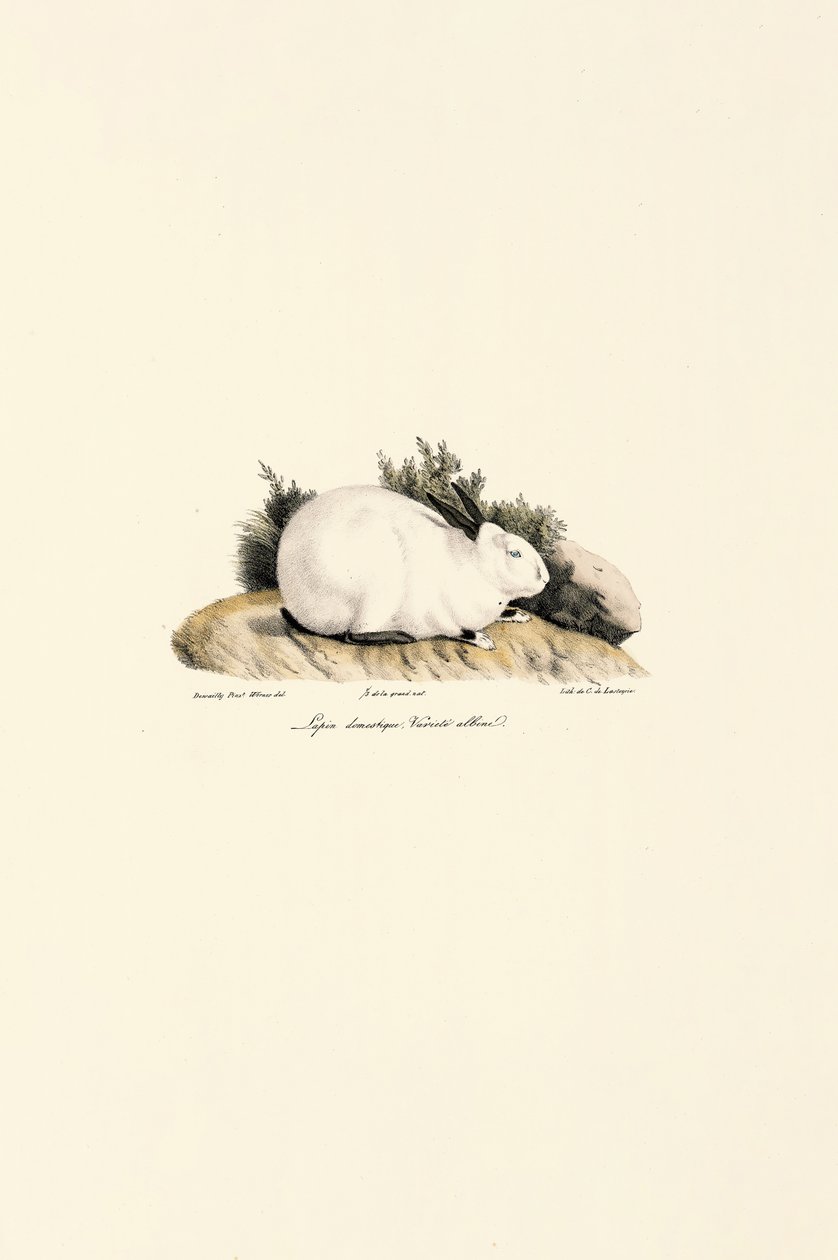  da Jacques Christophe Werner