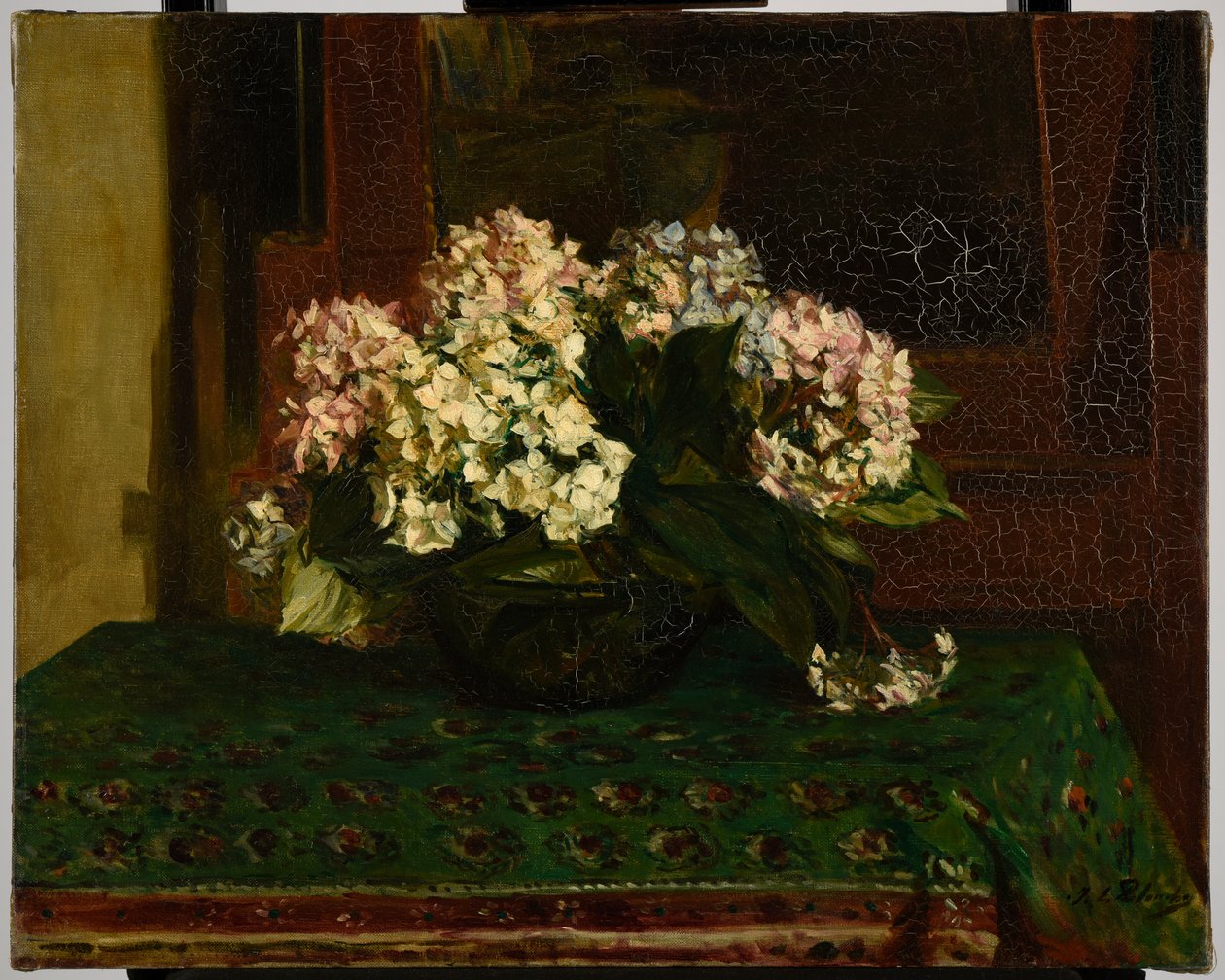 Ortensie (clima caldo) da Jacques Emile Blanche