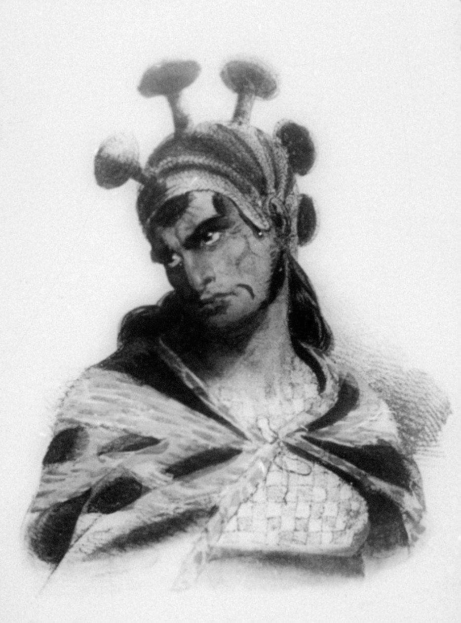Guerriero hawaiano con elmo ornato di fungo, 1819 da Jacques Etienne Victor Arago