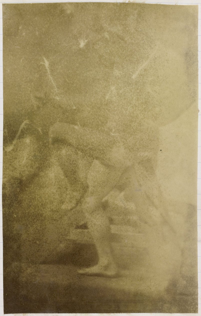 Studio di un modello maschile nudo, nell