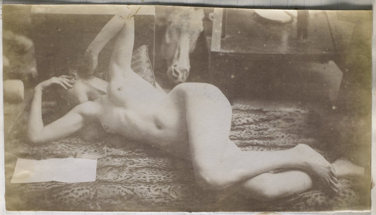 Studio di un modello femminile nudo, sdraiato su una pelle di tigre, nell