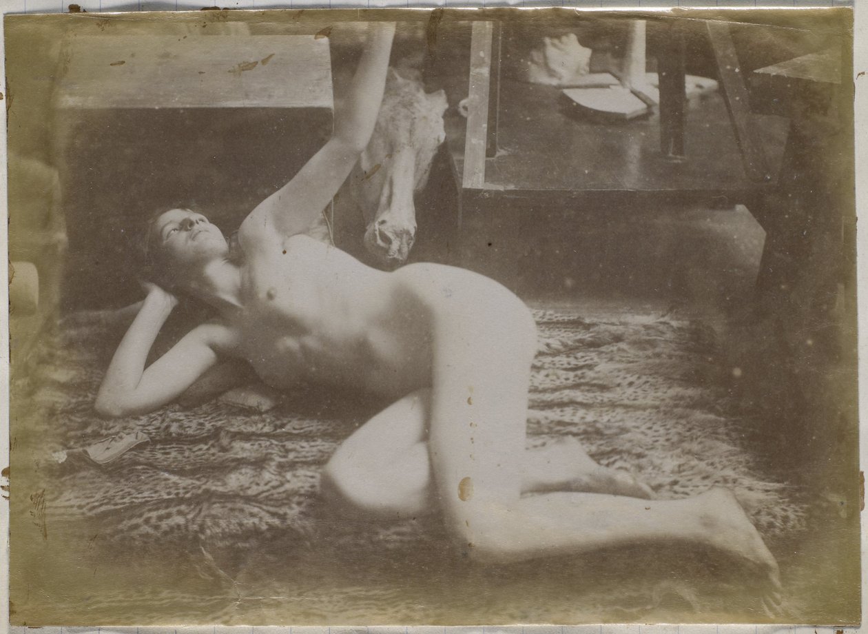 Studio di un modello femminile nudo, sdraiato su una pelle di tigre, nell