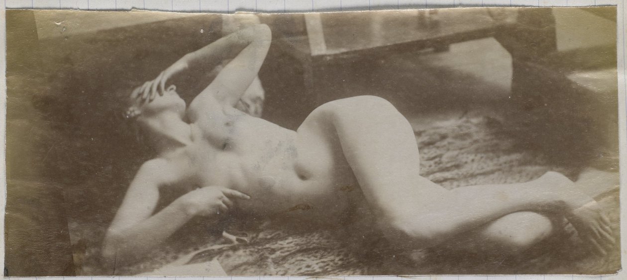 Studio di un modello femminile nudo, sdraiato su una pelle di tigre, nello studio di Jacques de Lalaing da Jacques Lalaing (attributed to)