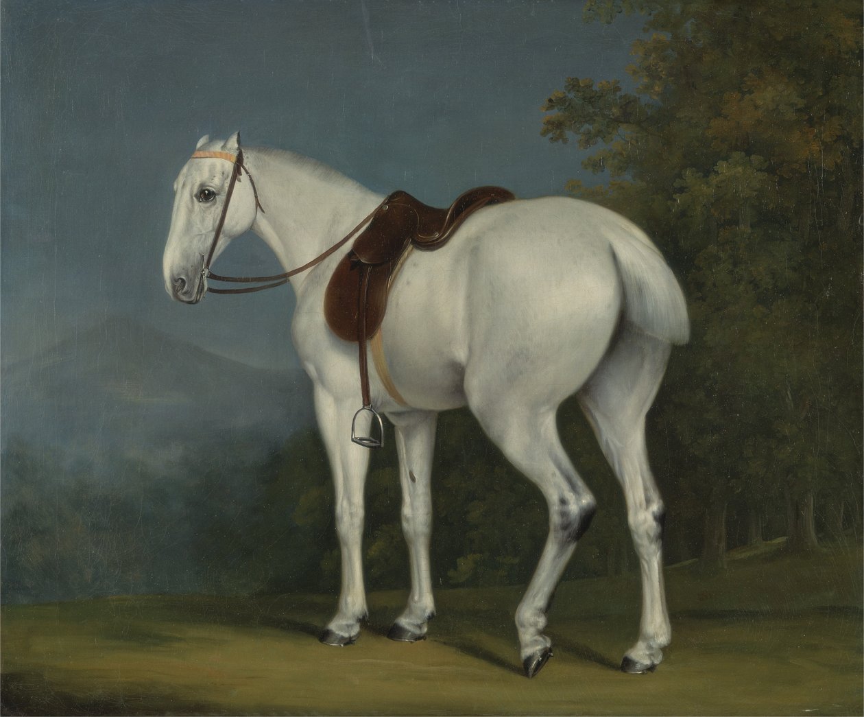 Cavallo Grigio di una Signora, c.1806 da Jacques-Laurent Agasse