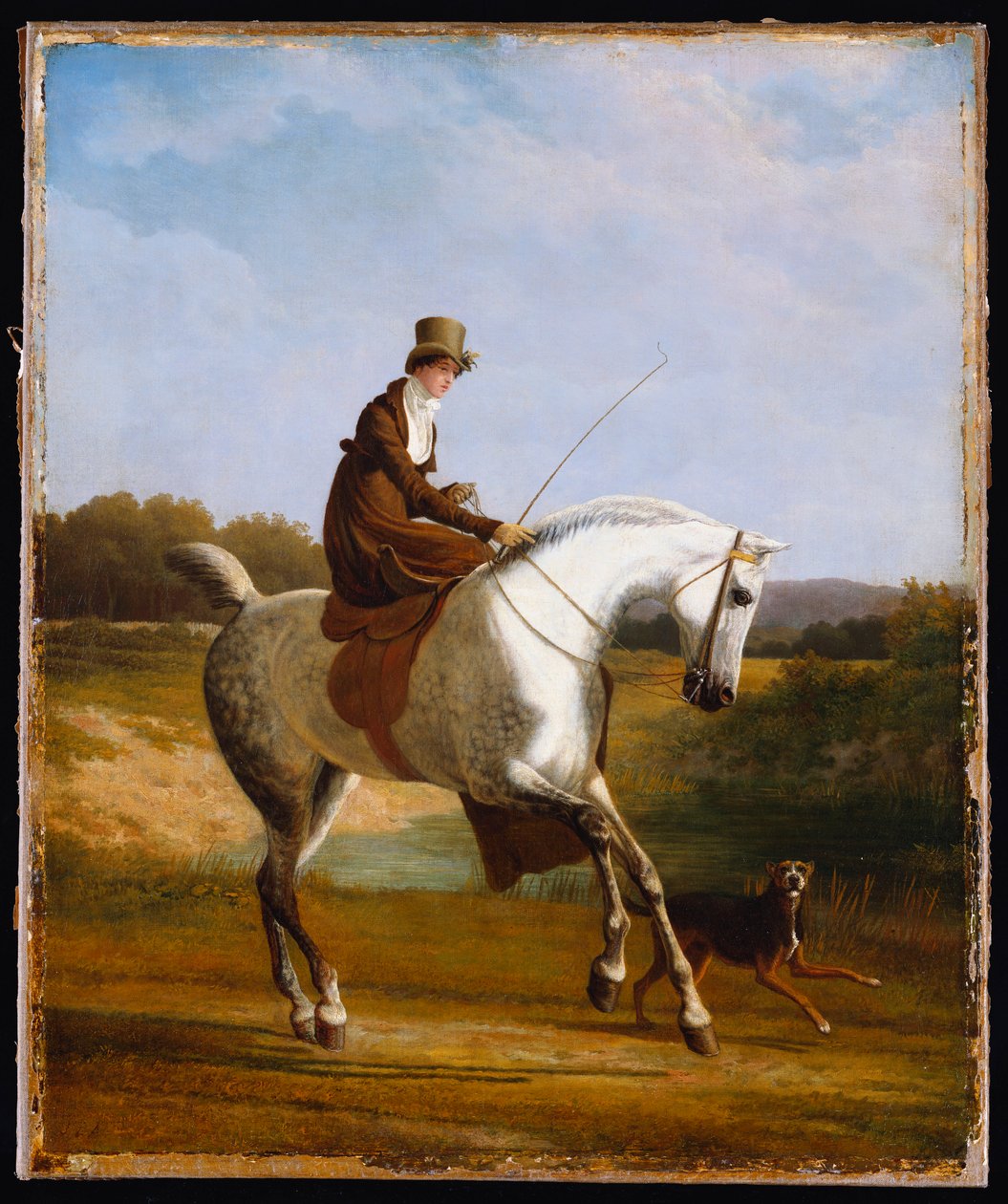 Miss Cazenove su un cacciatore grigio, un cane che corre accanto da Jacques Laurent Agasse