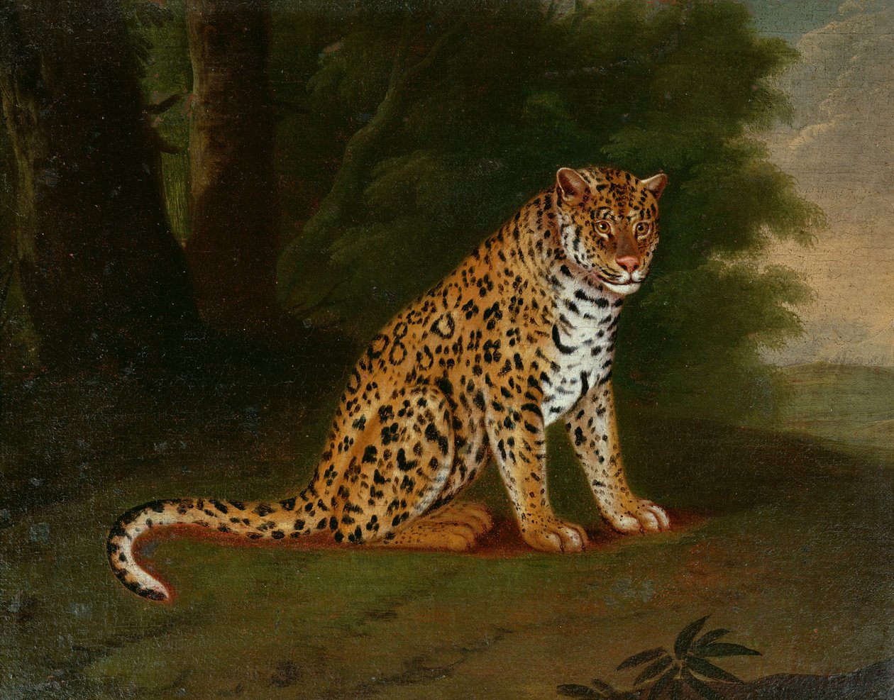 Immagine sconosciuta da Jacques Laurent Agasse