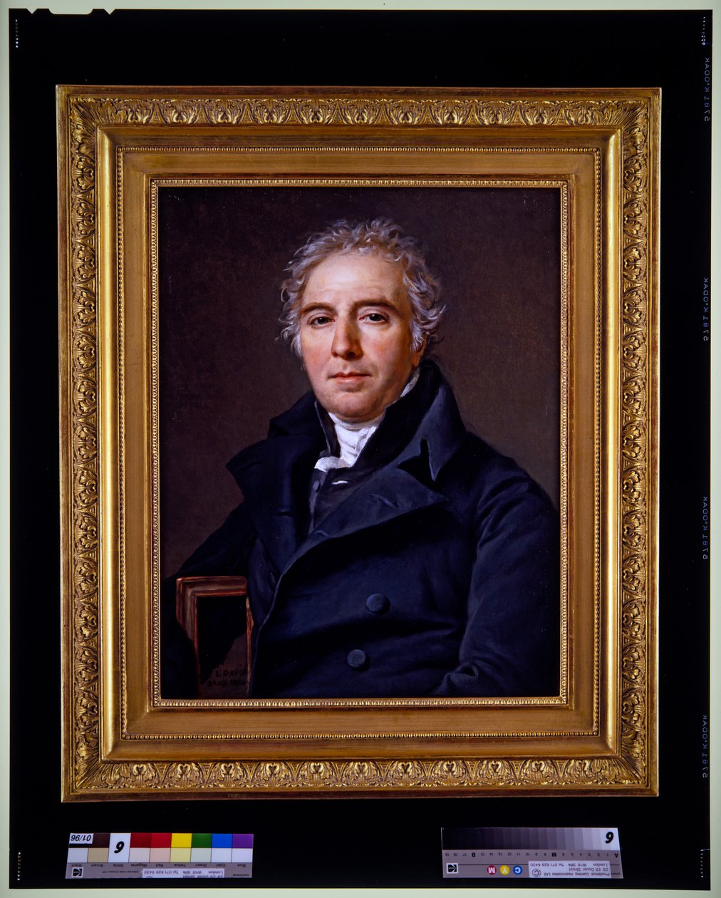 Ritratto di D.V. Ramel de Nogaret da Jacques Louis David