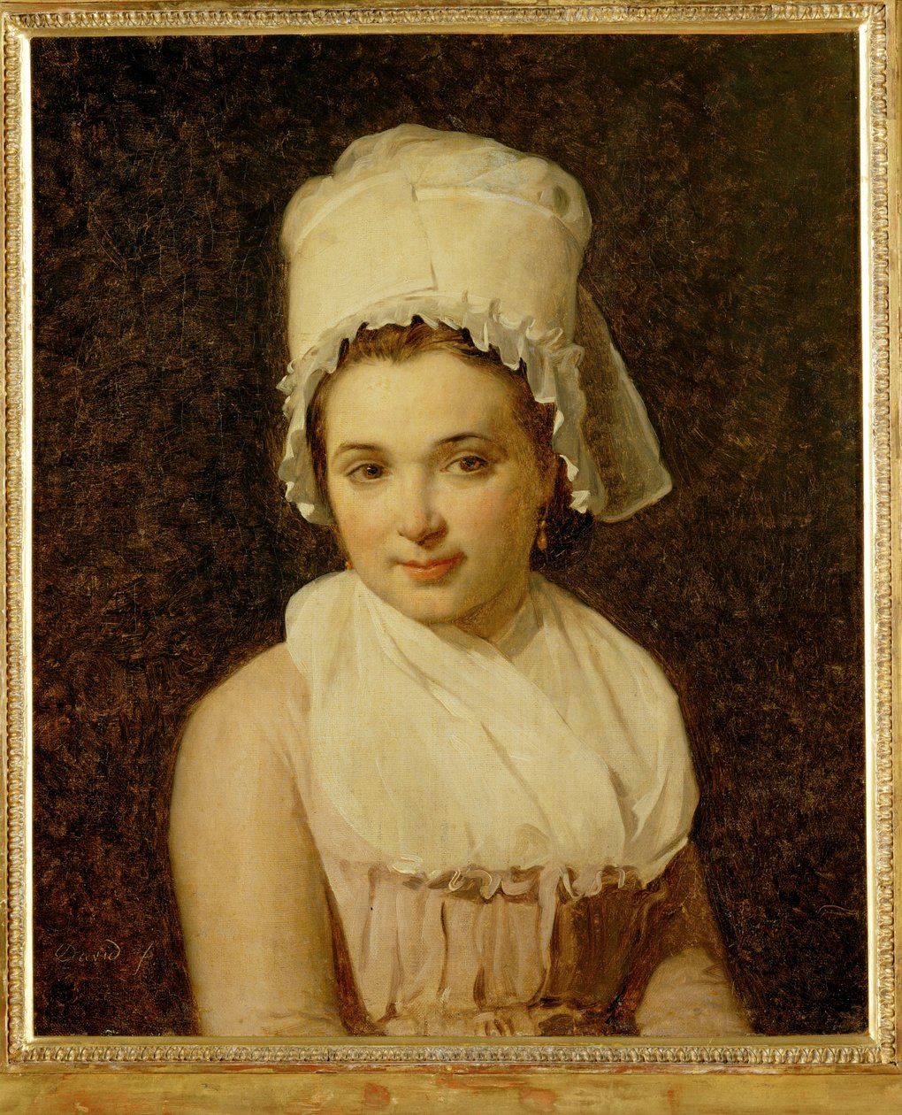 Catherine-Marie-Jeanne Tallard, moglie di Francois Lamy, sindaco di Sougere/Yonne ... da Jacques Louis David