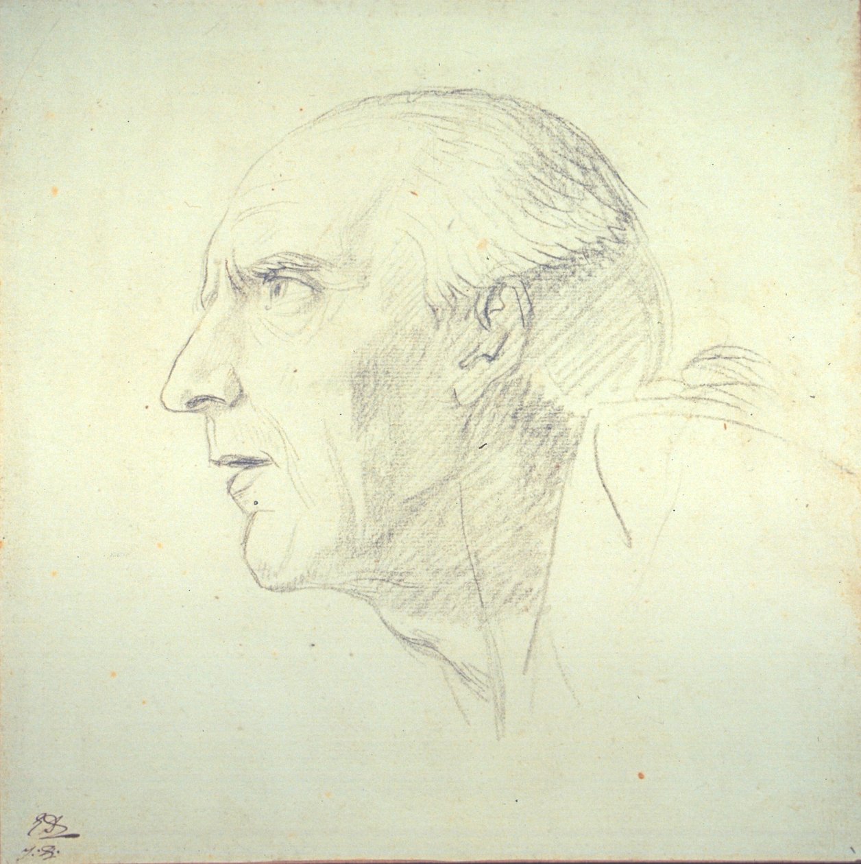 Testa di un vecchio in profilo da Jacques Louis David