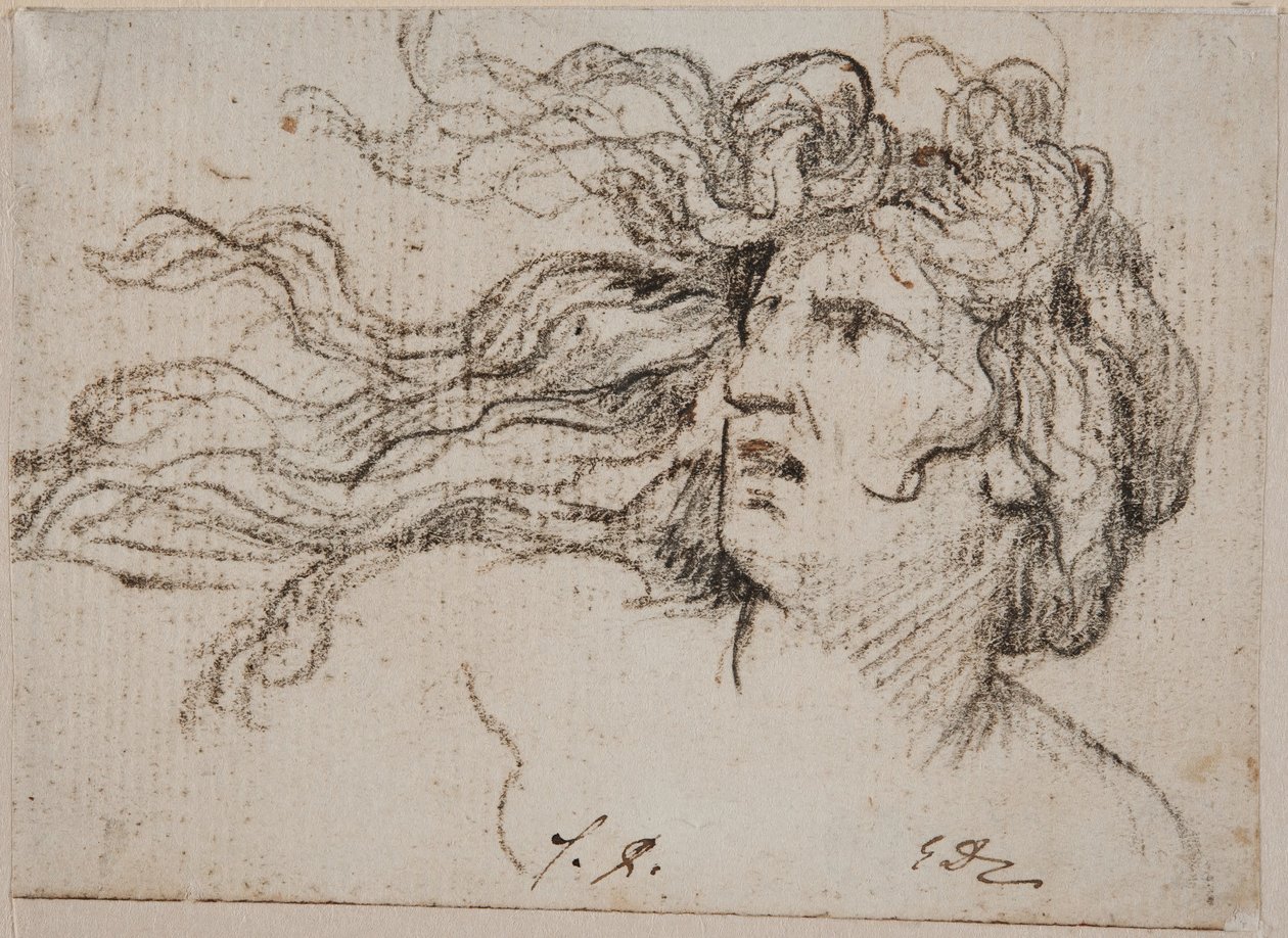 Testa di donna con capelli svolazzanti da Jacques Louis David