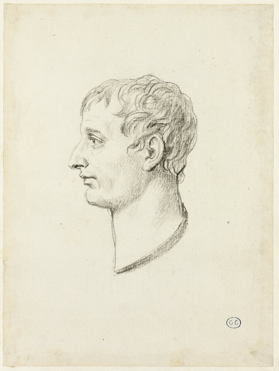 Profilo di Napoleone da Jacques Louis David