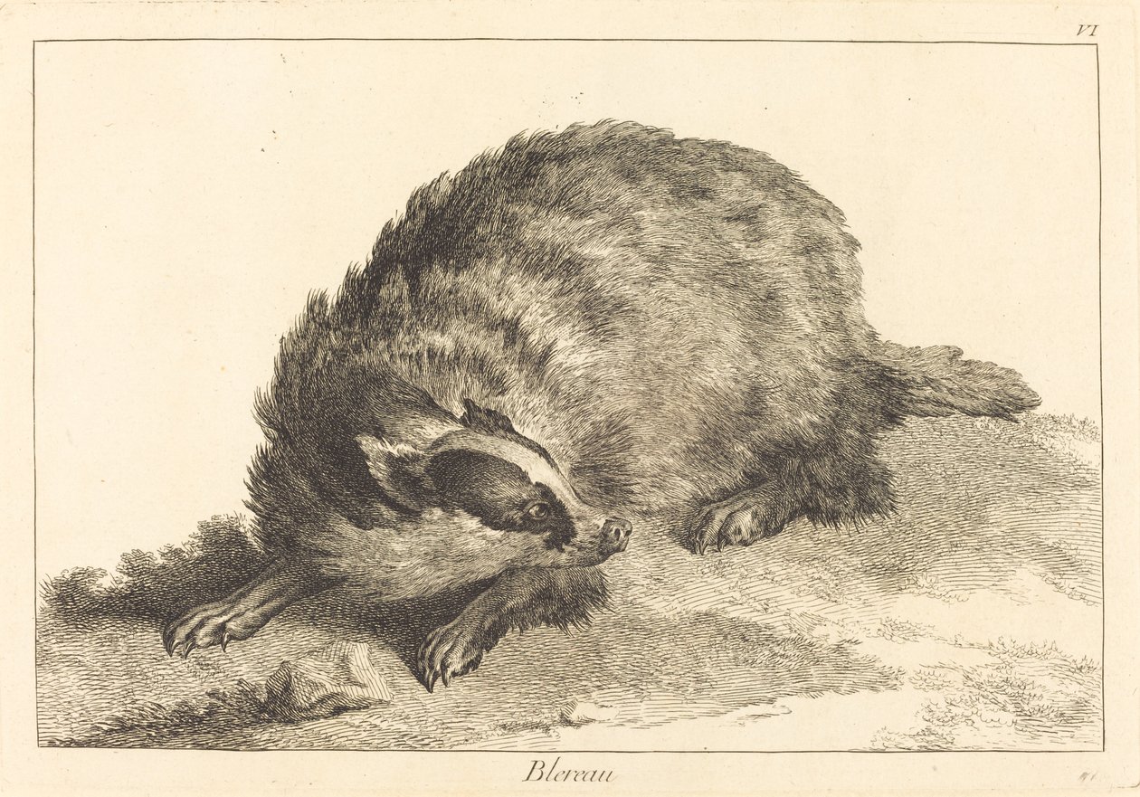Blereau (Tasso) da Jacques Philippe Le Bas and Jean Eric Rehn after Jean Baptiste Oudry