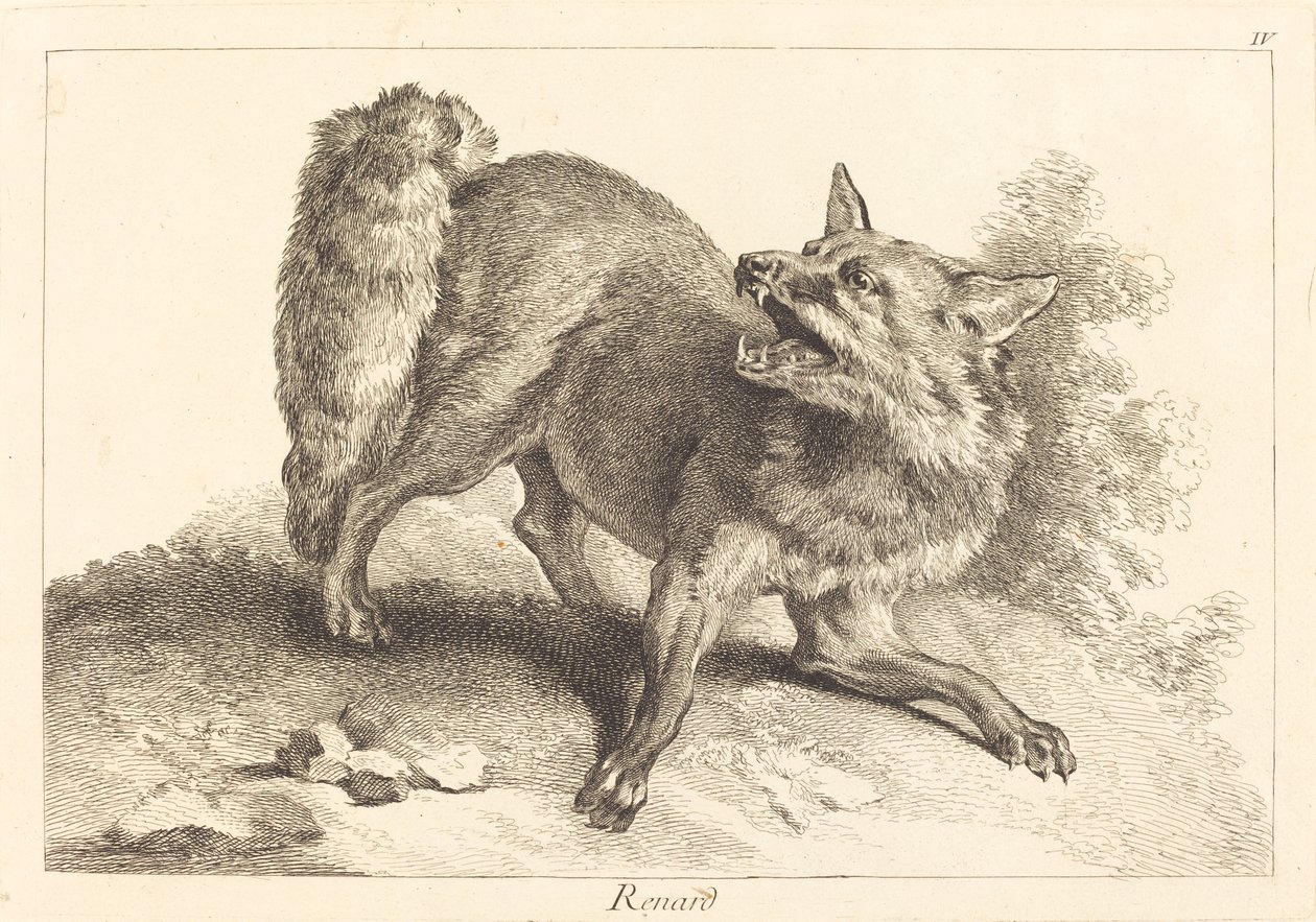 Volpe da Jacques Philippe Le Bas and Jean Eric Rehn after Jean Baptiste Oudry