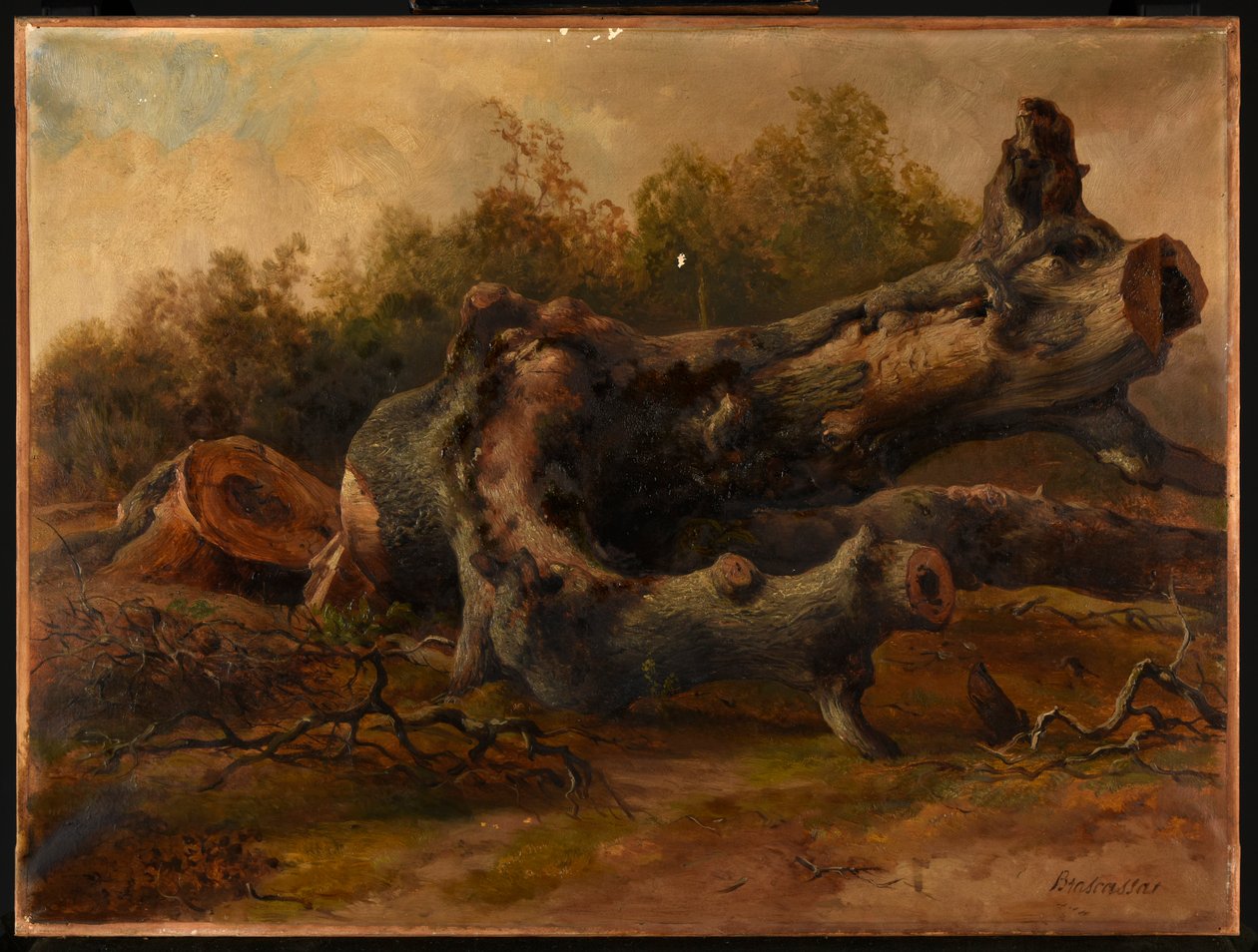Albero tagliato da Jacques Raymond Brascassat