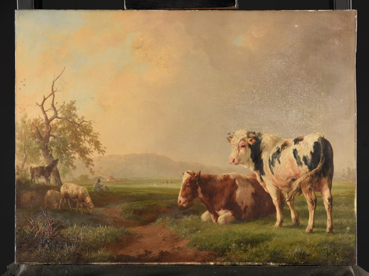 Bovini al pascolo da Jacques Raymond Brascassat