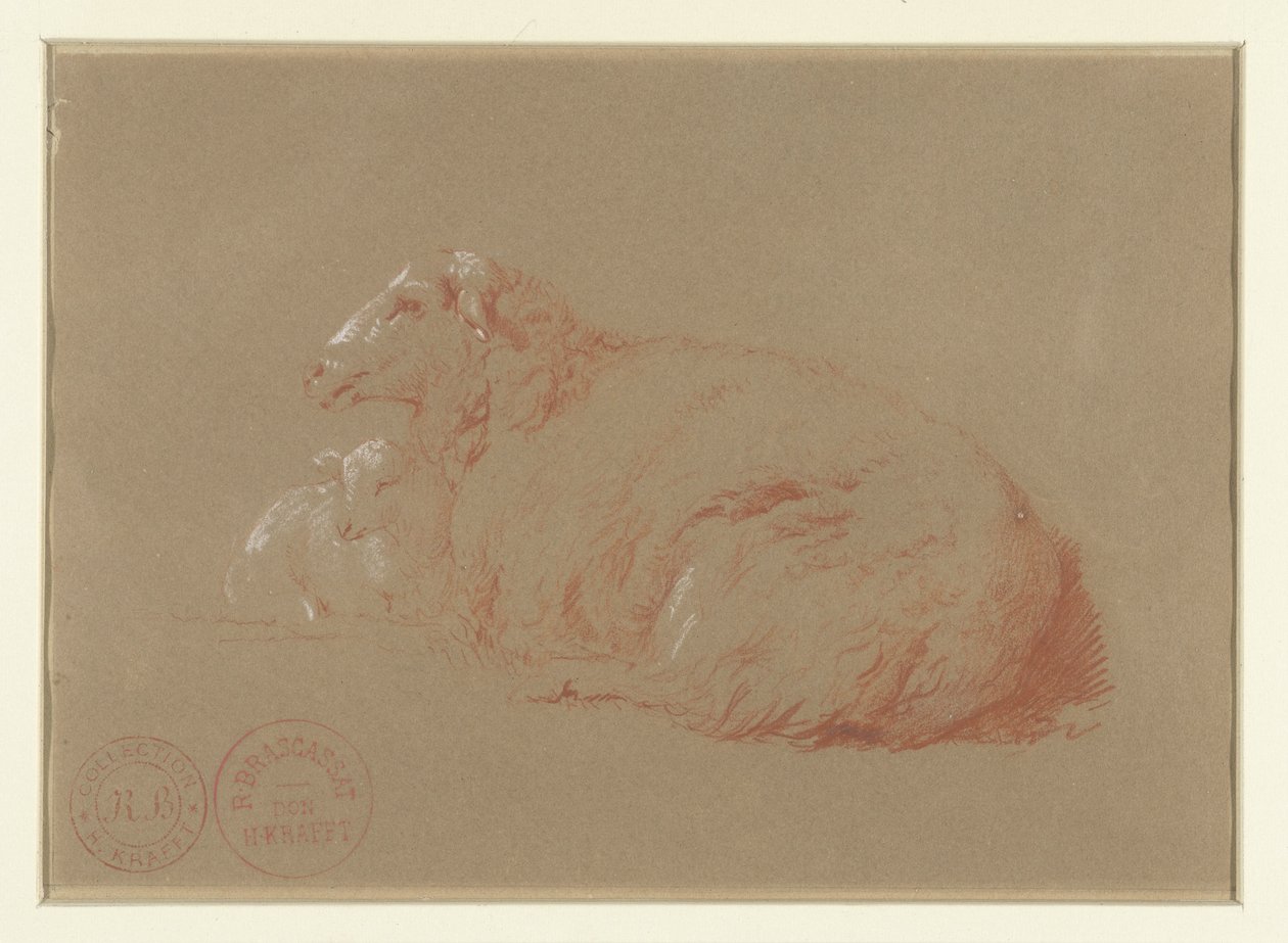 Pecora sdraiata con agnello da Jacques Raymond Brascassat