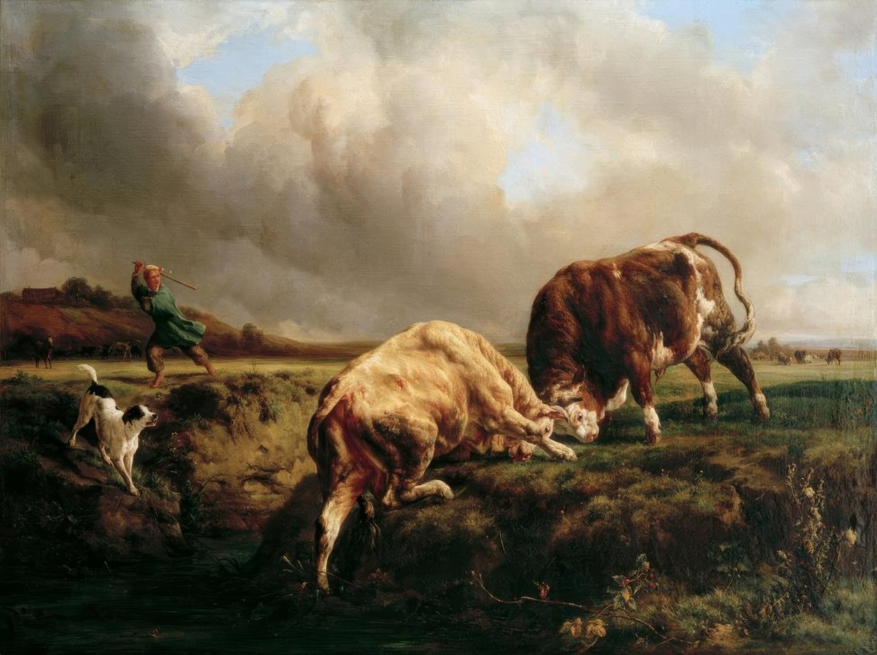 Lotta di tori da Jacques Raymond Brascassat