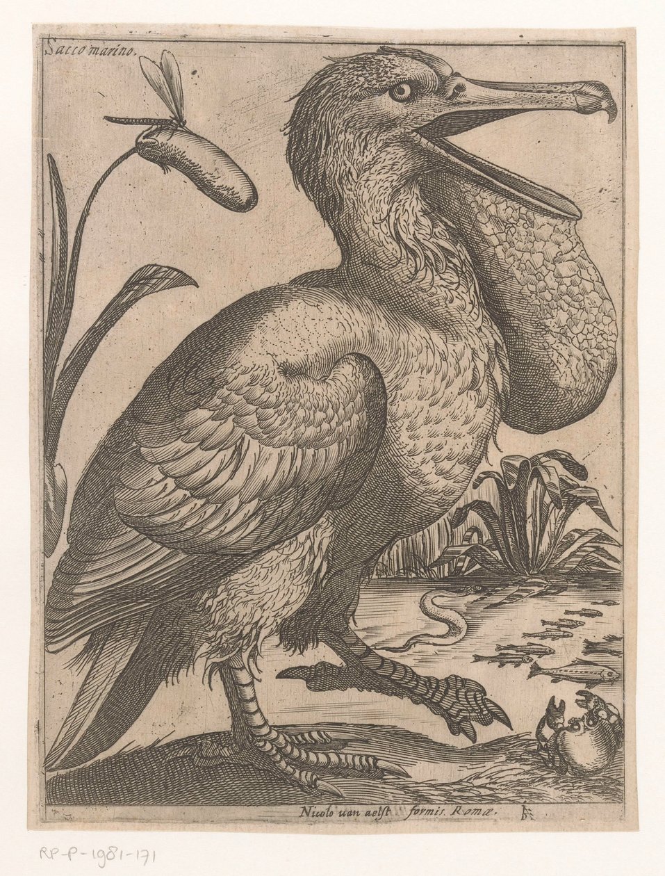 Uccello acquatico da Jacques de Fornazeris