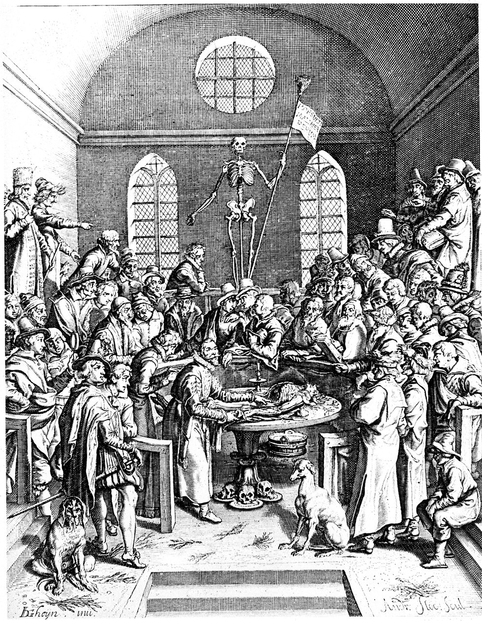 Teatro anatomico del tardo XVI secolo, Jacques de Gehyn il Vecchio da Jacques de Gehyn the Elder