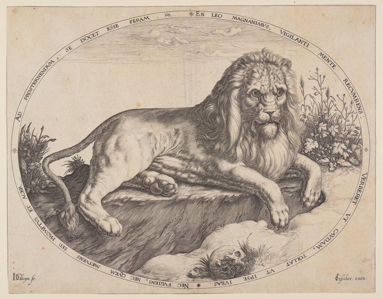 Den Grooten Leeuw (Il grande leone). da Jacques de Gheyn II