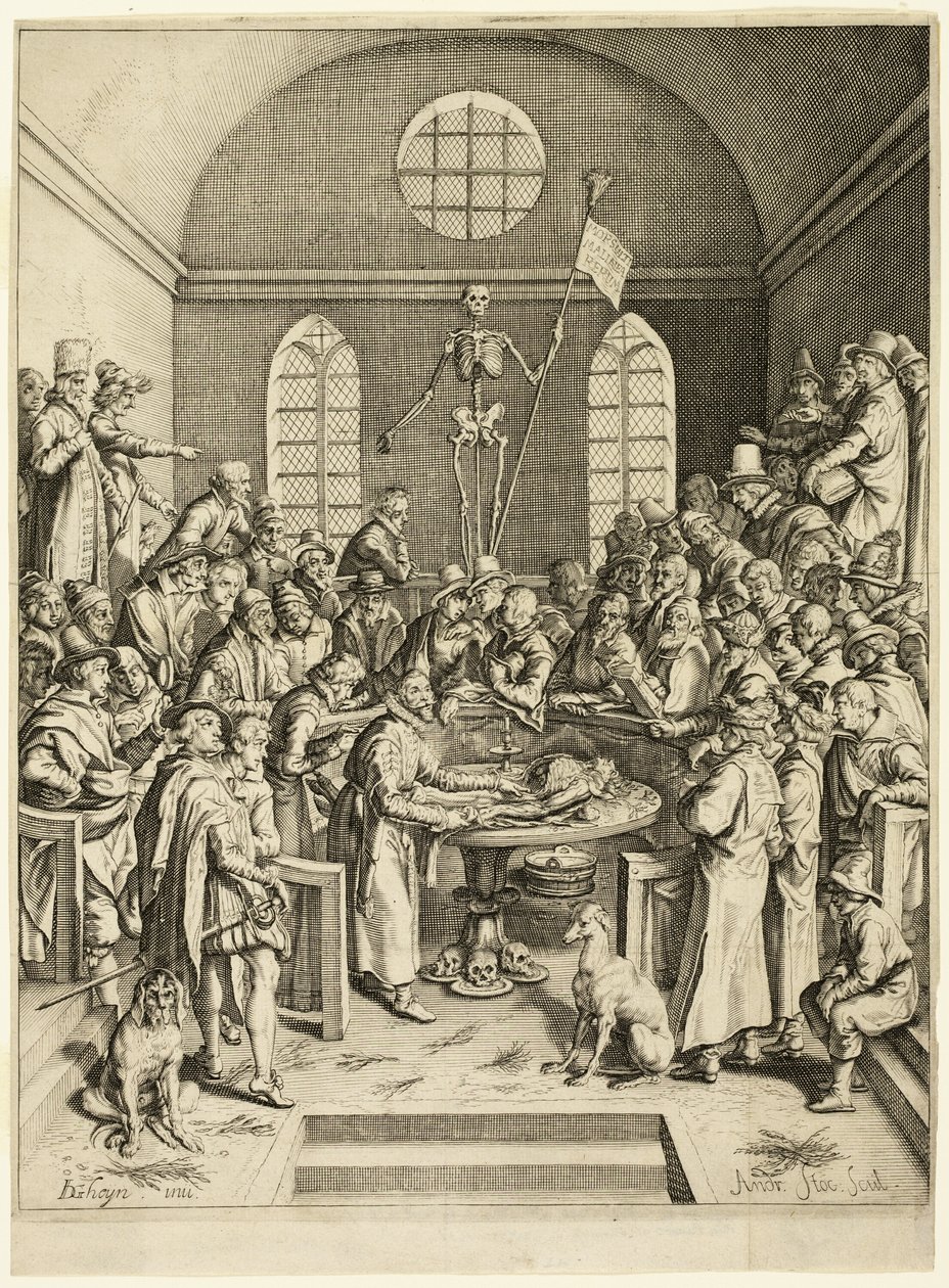 La lezione anatomica del professor Pauw da Jacques de Gheyn II