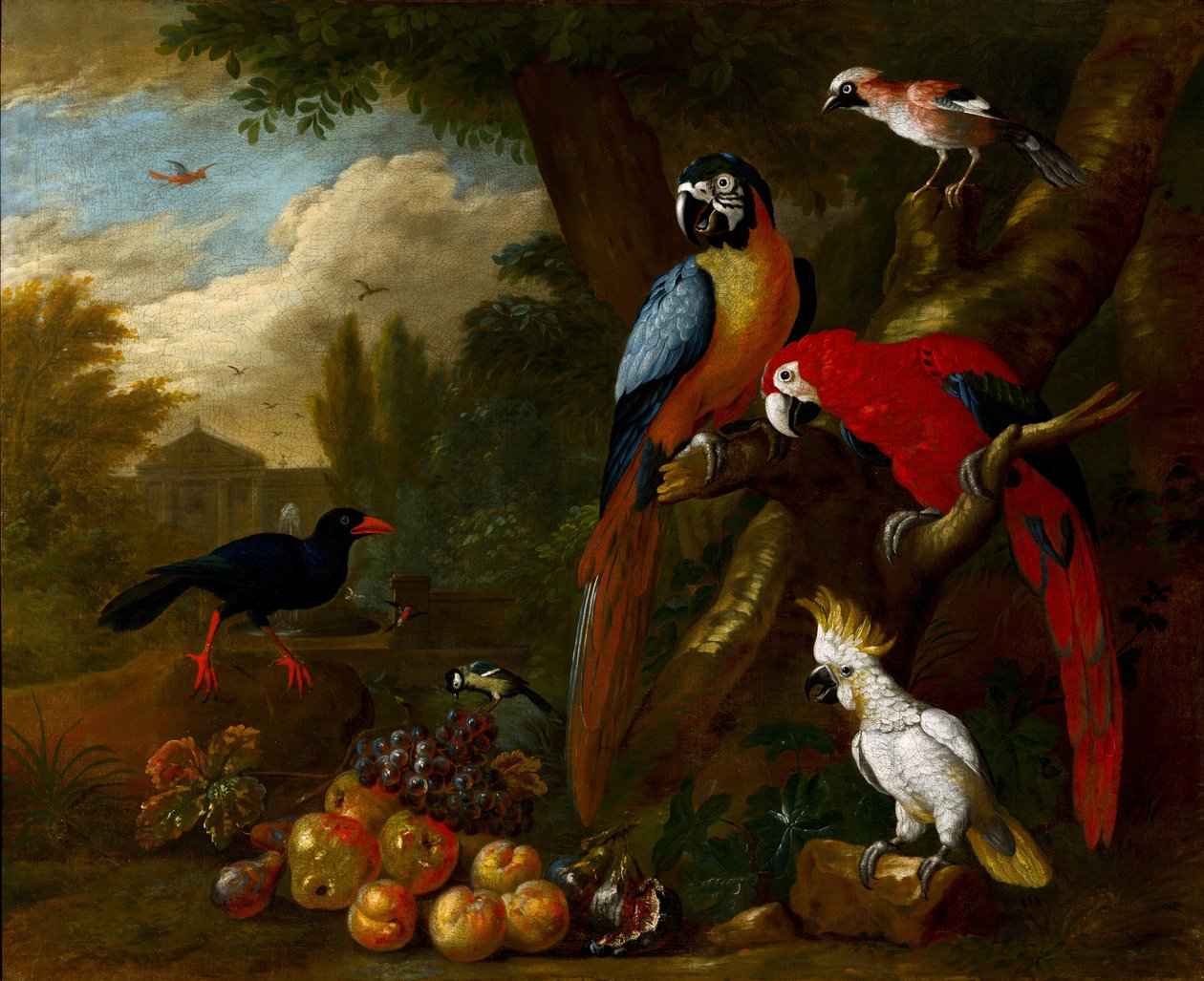 Due ara, un cacatua e una ghiandaia, con frutta da Jakob Bogdani or Bogdany