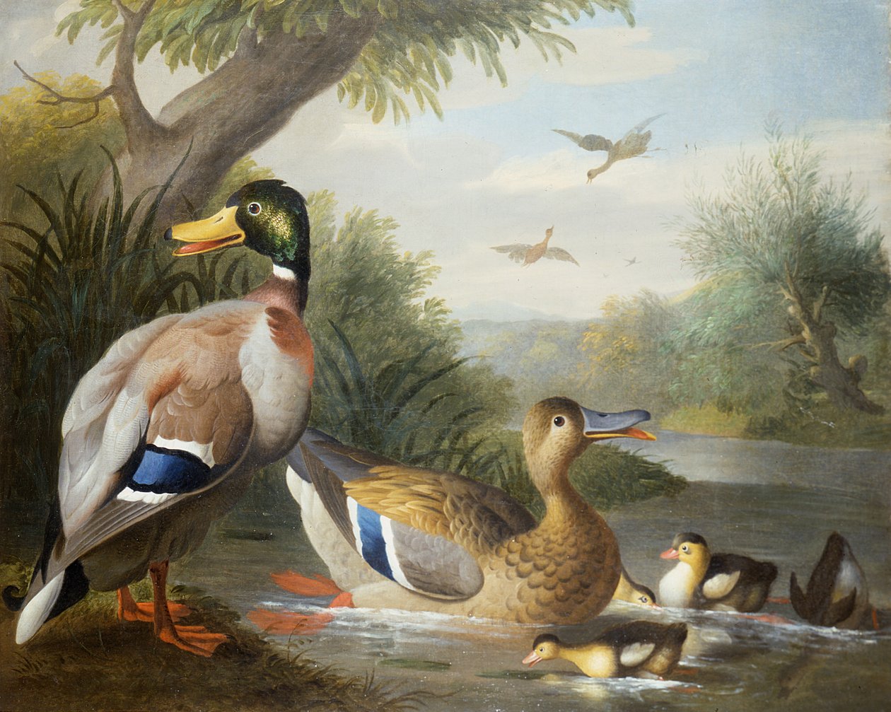 Anatre in un paesaggio fluviale da Jakob Bogdani or Bogdany
