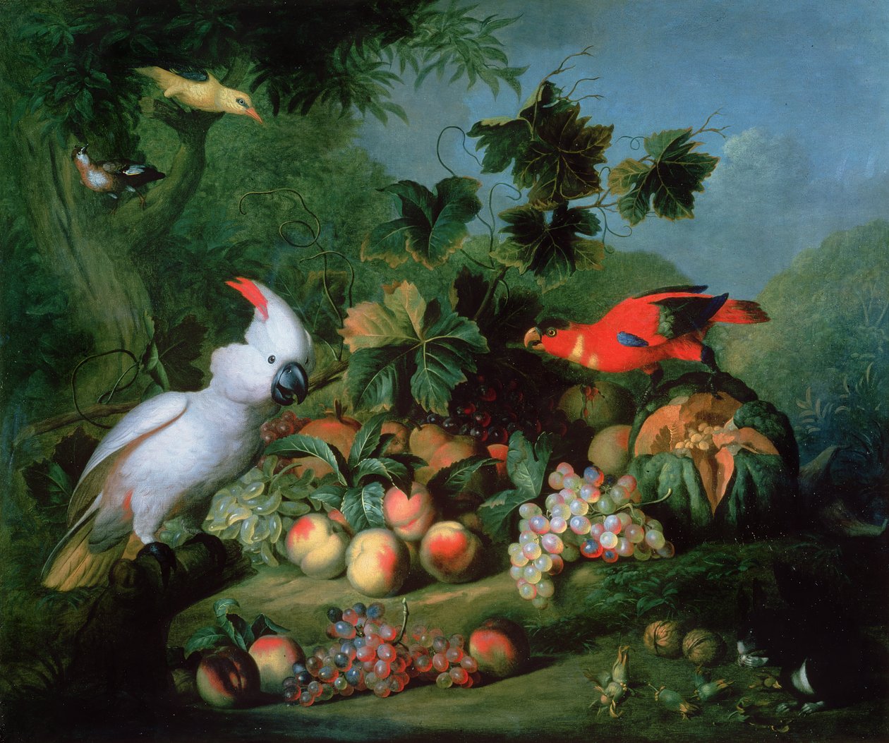 Frutta e uccelli da Jakob Bogdani or Bogdany