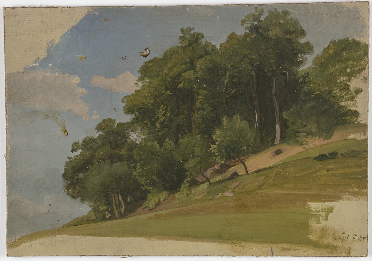 Margine di un bosco da Jakob Becker