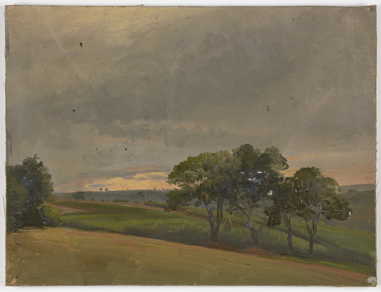 Prato serale con alberi da Jakob Becker