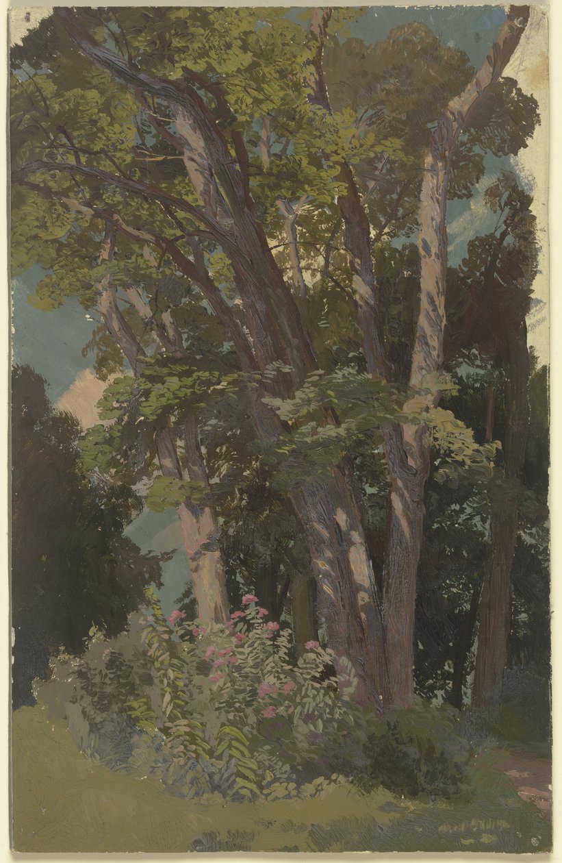 Studio di parco, radura da Jakob Becker