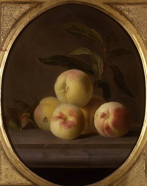Natura morta di frutta con una mosca da Jakob Bogdani or Bogdany