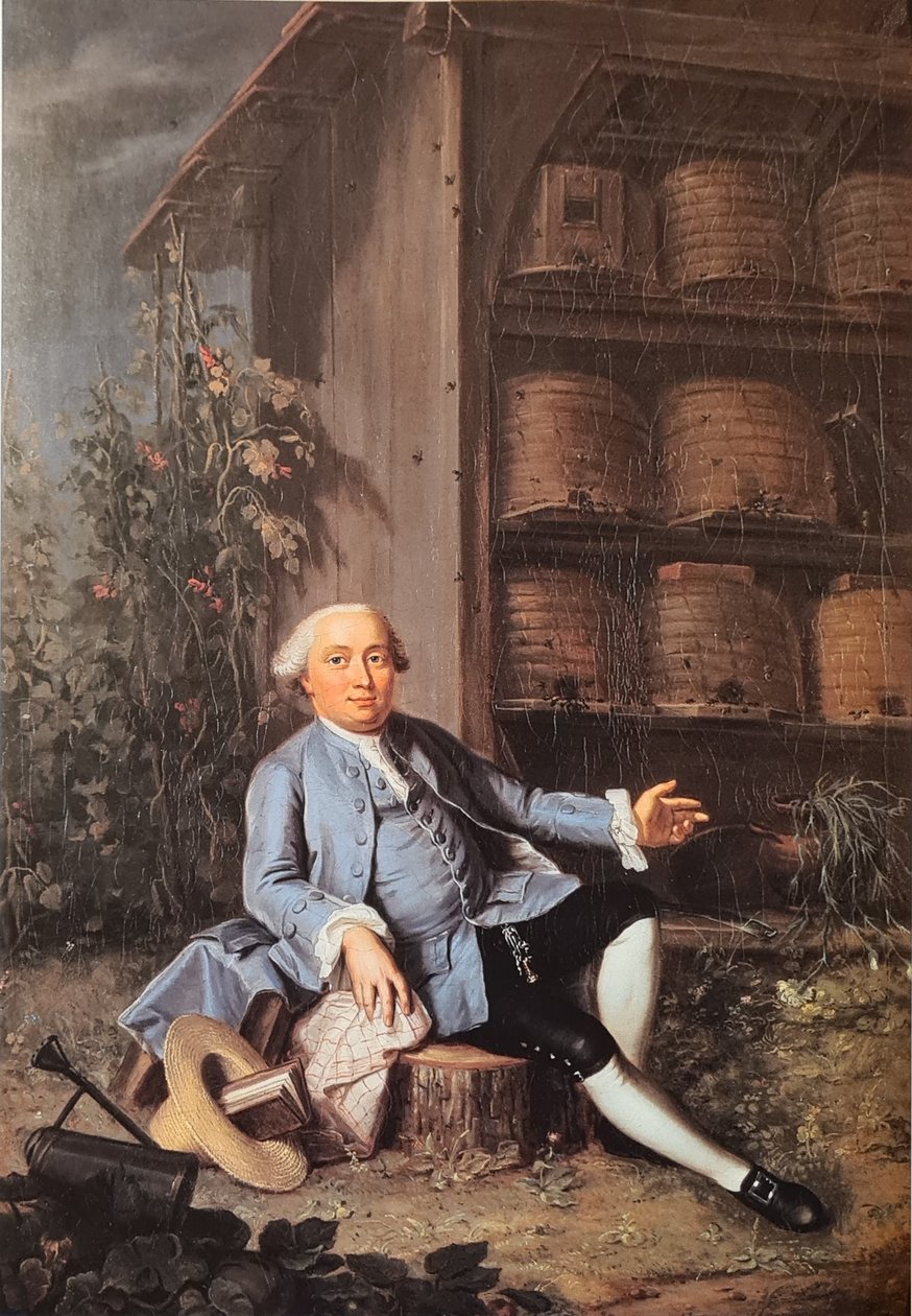 Tedesco: Ritratto di Vincenz Frisching (1727-1790), membro del Gran Consiglio, proprietario terriero di Uttigen. da Jakob Emanuel Handmann